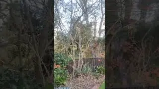 Pearl Park, Foster, Victoria, Australia