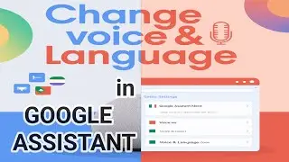 change Google assistant voice sound & language.