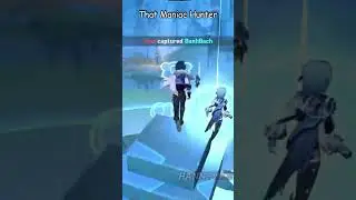 Types Of Genshin Impact Windtrace Players 