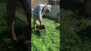 5 июня 2024 г.