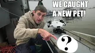 We Caught A Pet!