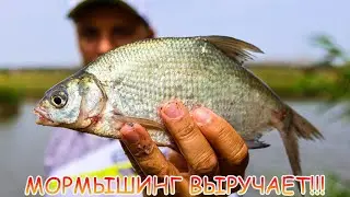 Мормышинг выручает!!! Лещи, густера и караси на МОРМО! Рабочие приманки!