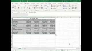 Microsoft MS Excel: functions borders and shading date formats