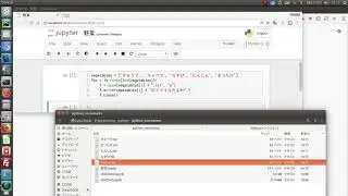 python increment sample