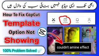 How To Fix CapCut Template Not Showing | Couldn't Load Anime Effect CapCut | CapCut Template