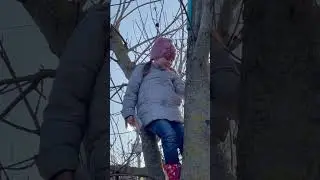 Скворечник для птиц