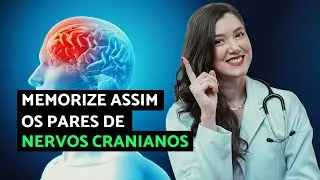 Macete para Lembrar dos Pares de Nervos Cranianos (e nunca mais esquecer)