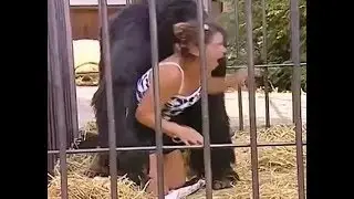 НОНСОНС В ЗООПАРКЕ
