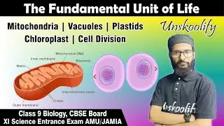 Mitochondria | Chloroplast | Cell Division | The fundamental unit of life in hindi #class9 #cbse