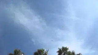 Space Shuttle Endeavor Flyover, Santa Monica Beach At Ashland