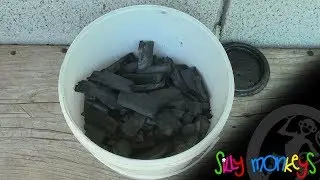 Ugljenik (Silly Monkeys)