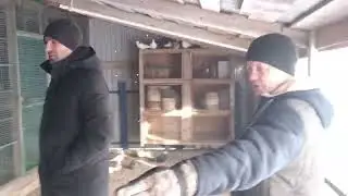Знаменитые голубятники Вардан и Муслим в гостях у Евгения.