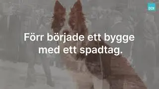DOX Kort 1 - Spadtag