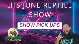 IHS June 2024 Reptile Show Pick Ups 
