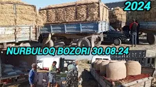SOMON PRISLAR BEDA DAG'AL XASHAK BUG'DOY ARPA UN NARXLARI SAMARQAND V NUROBOD TUMANI NURBULOQ BOZORI