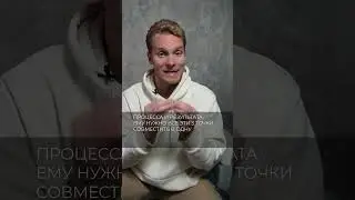 Манифестирующий генератор в бизнесе