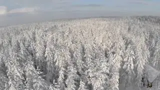 Аэросъемка: Снежный лес, озеро Монетка, Ленобласть