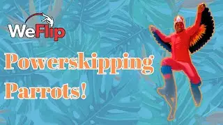 Powerskipping Parrots Teaser!