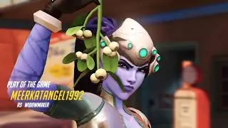 Widow sort of carry