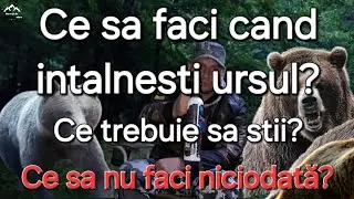 Ce trebuie sa faci cand intalnesti ursul? Cum eviți atacul unui urs? Experienta mea cu ursii