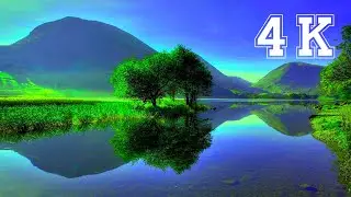 ПРИРОДА  В 4K