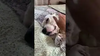 Архивное видео🥰 