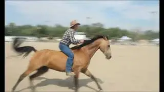 WINNING FREESTYLE at Western Idaho Fair 2022. WIF 2022 - Part Two.