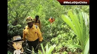 Incendio Reserva de la Biósfera de Los Petenes controlado en un 70 por ciento