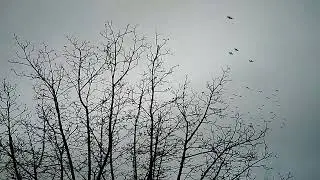Plovdiv Lauta