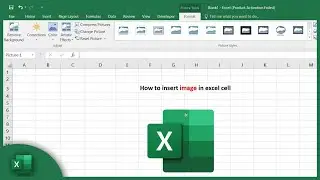 How to insert image in excel cell