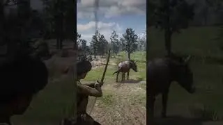 p481 Survival skills in India and China 😱🐕🤯 #shorts, #ytshorts #shortsvideo