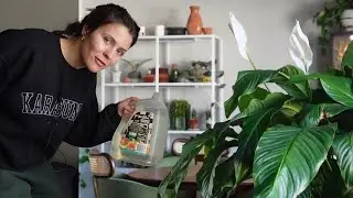 Daily Life | Plant care, houseplant shopping with mom, & I got an eye injury from dirt