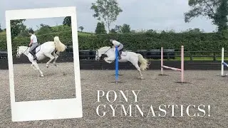 GYMNASTICS WITH MY PONY!/ At home jumping exercise