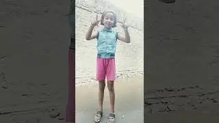 gulabi sadi