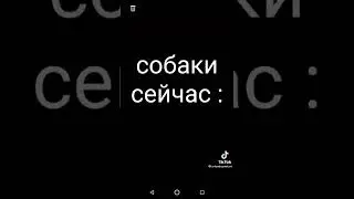 собаки 200 лет назад и сейчас