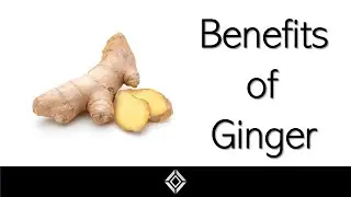 Benefits of Ginger for Nausea, Stomach Pain and Overall Natural Health