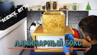 How to build a laminar flow hood? Growing 