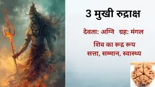 3 मुखी रुद्राक्ष: साहस, सेहत, सत्ता का वरदान। पाप को भस्म करने की शक्ति। धारण विधि, मंत्र, लाभ।