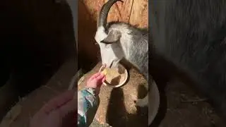 Идём к козюлькам