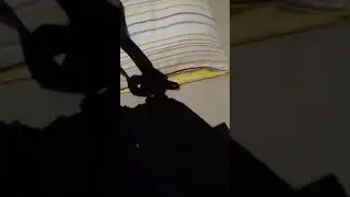 Костюмчик на конец света и прочие радостные дни :)