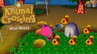 Animal Crossing: Wild World - A Rainy Day Catch-up