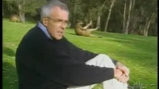 Kangaroo funny