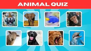 Animal Quiz 🐘🦘 | How Many Can YOU Get Right?