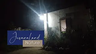 The atmosphere at dusk, the sound of geckos, lizards, crickets