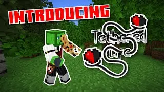 Introducing Tethered Life an SMP for Life Series Fans