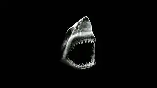 [FREE] Pierre Bourne x Sharc Type Beat (w/transition) 2023 - "Funeral Attendance"