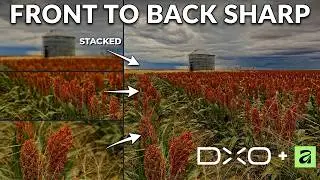 Focus Stacking Tutorial | DxO PhotoLab + Affinity Photo Workflow