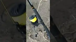 Рыбалка на Сома. Переходим от теории к Практике)))
