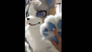 Эдит с пушистиками от меня :3