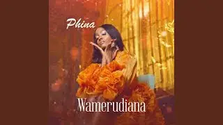 Wamerudiana